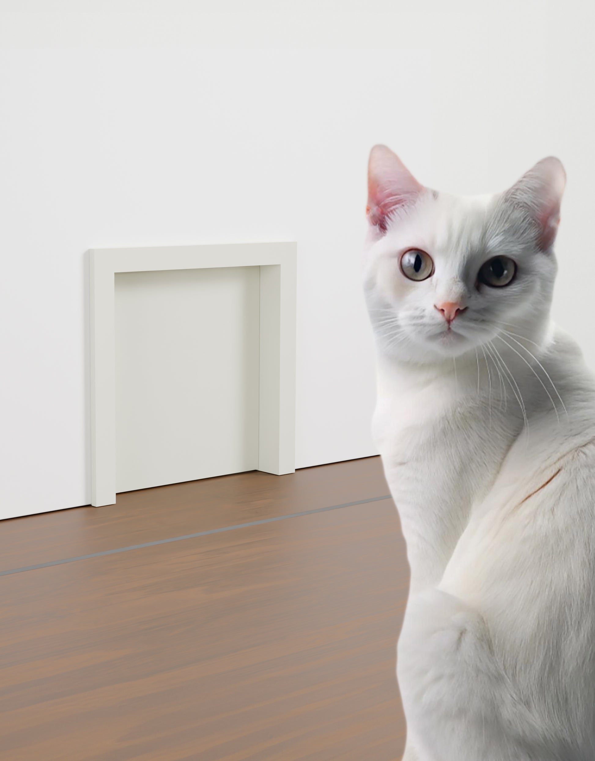 Katzenklappe für innen