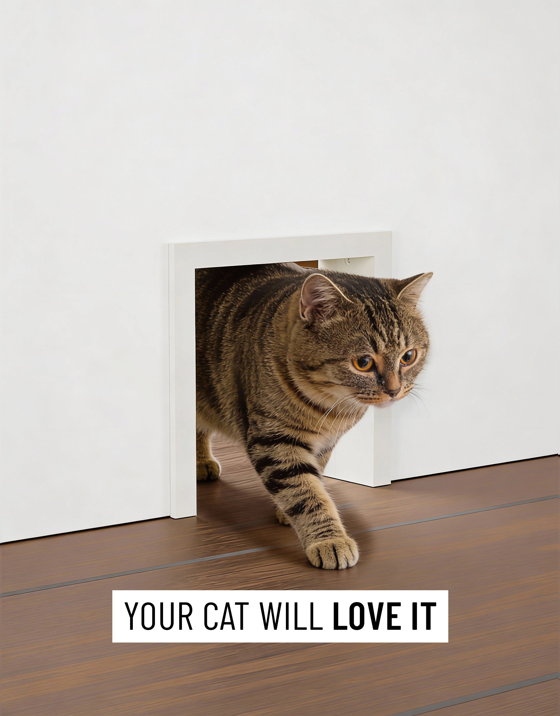 Katzendurchlauf für innen