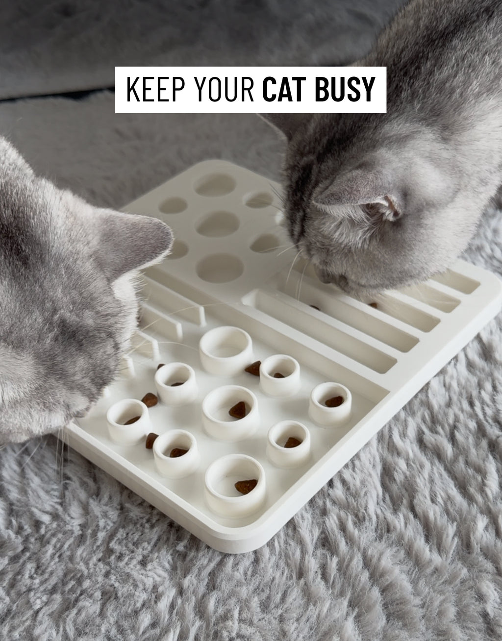 Snackbrett für Katzen