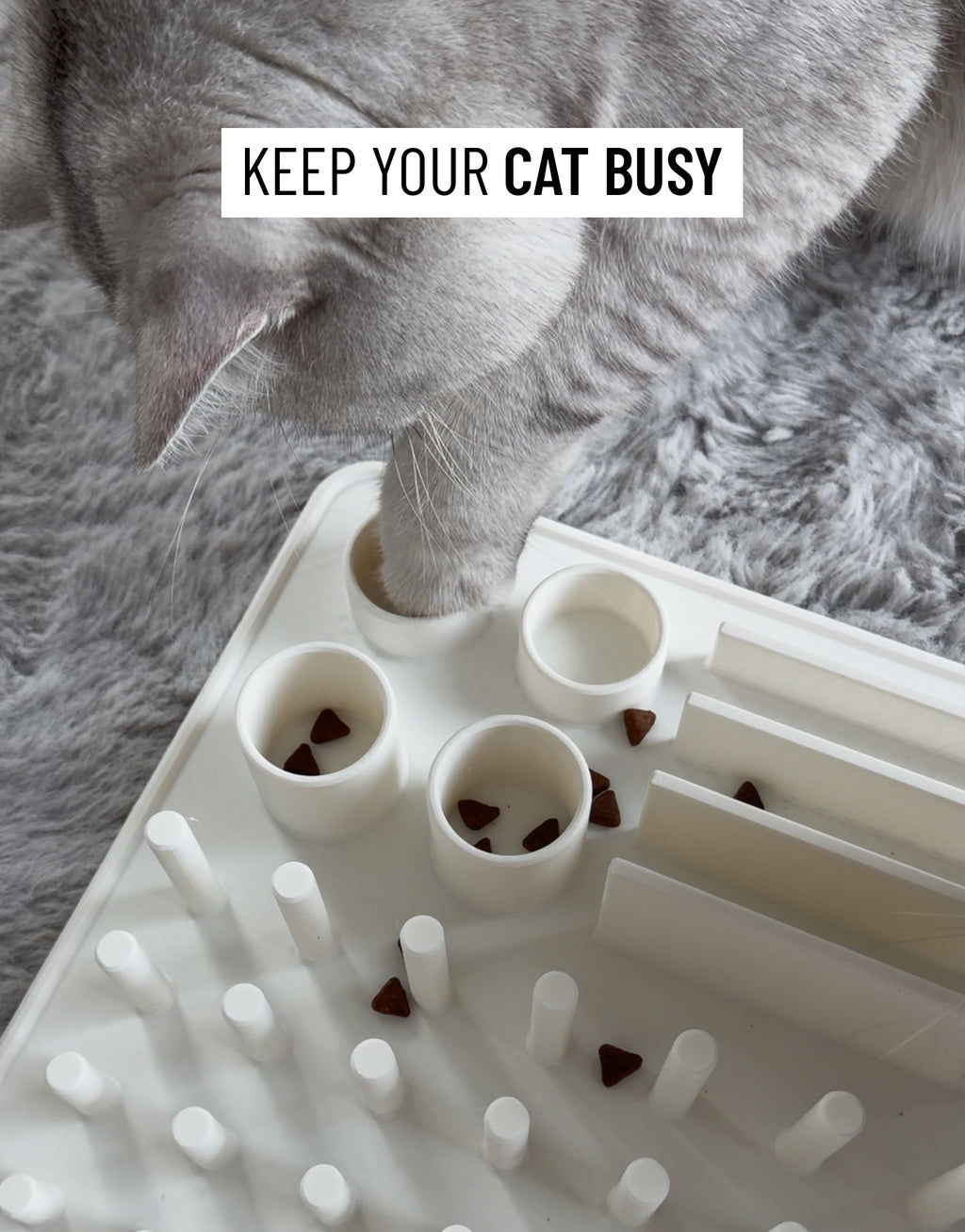 Snackbrett für Katzen