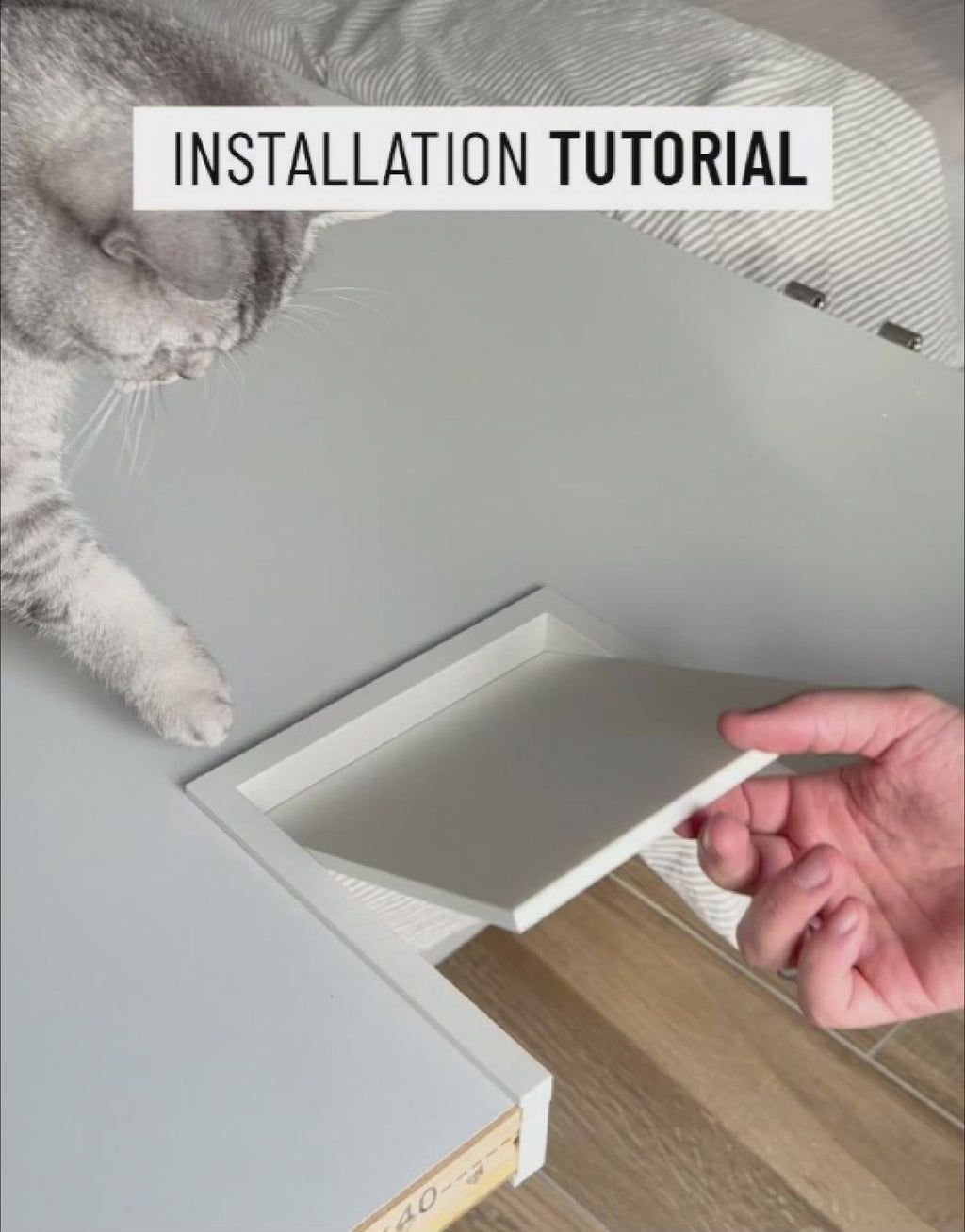 Katzenklappe für innen