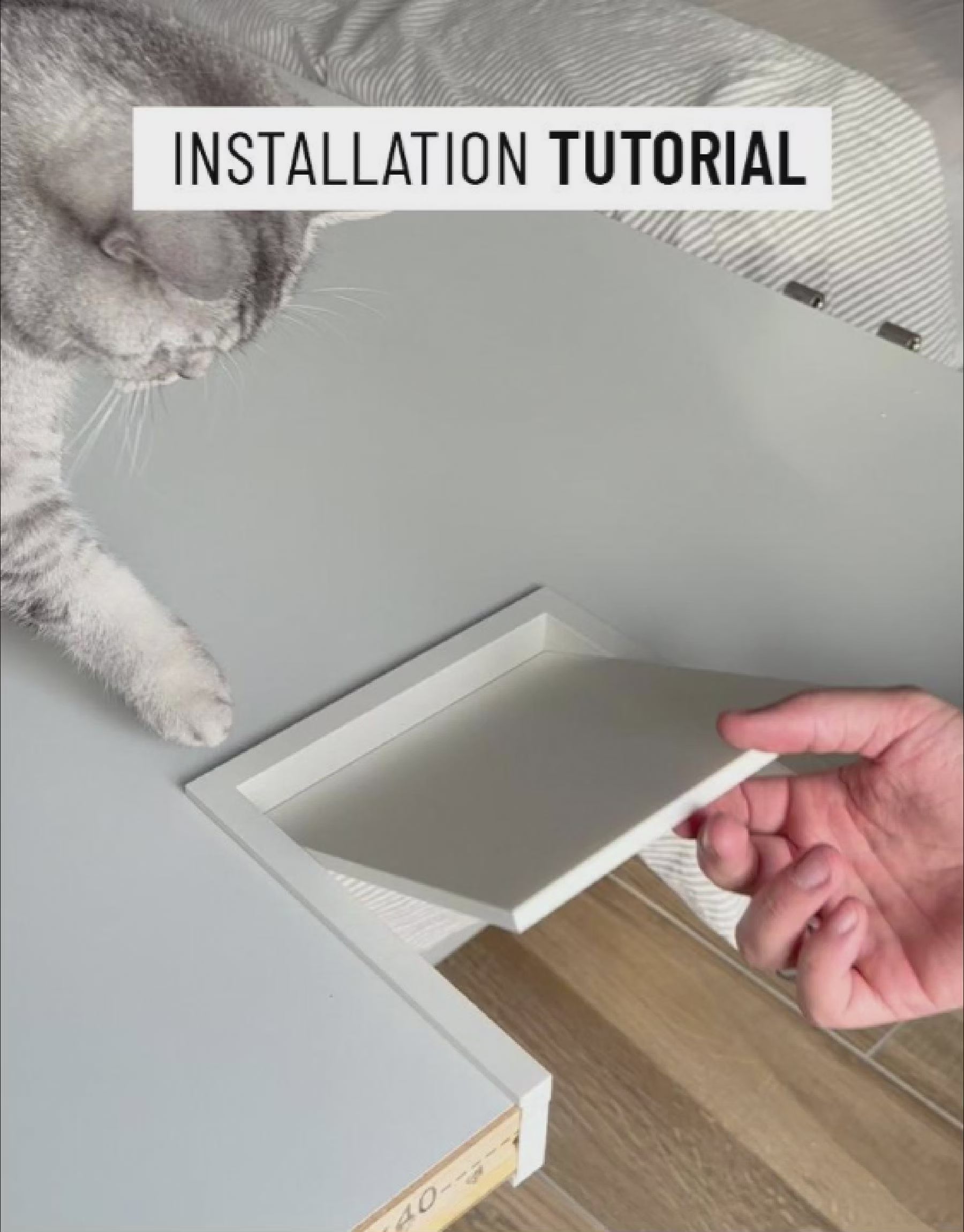 Katzenklappe für innen