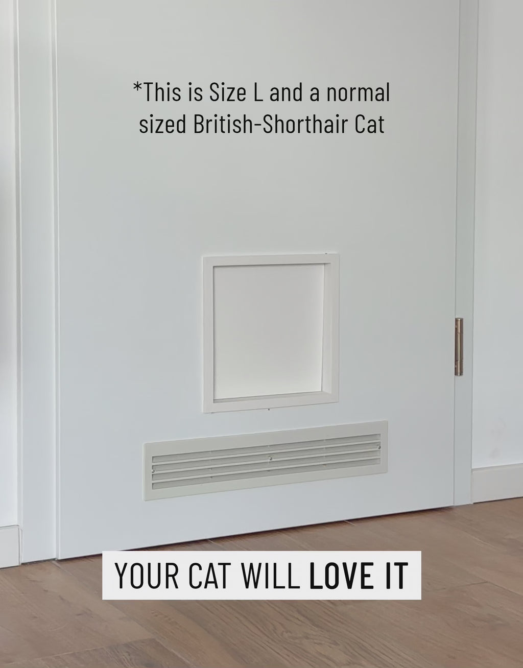 Katzenklappe für innen