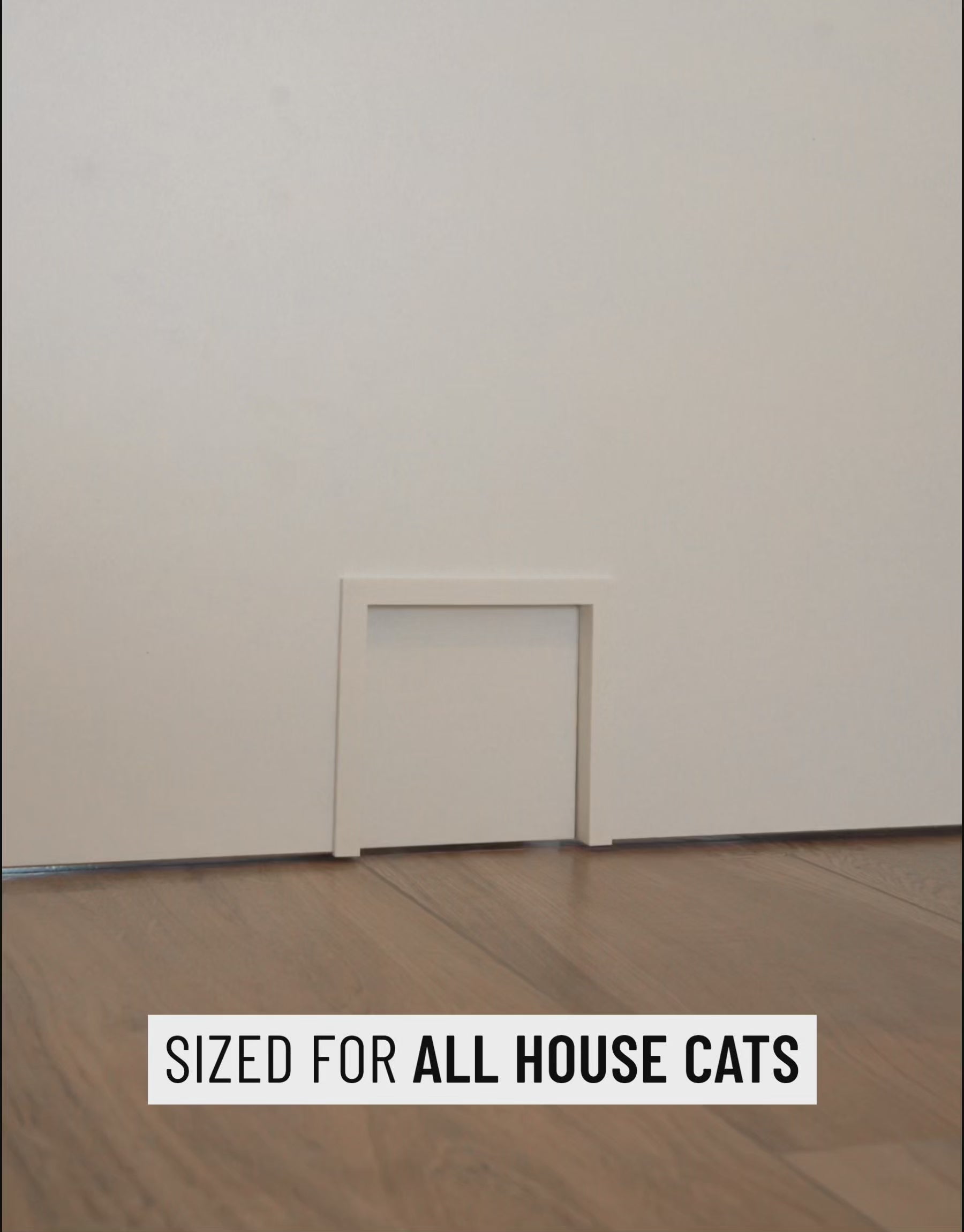 Katzenklappe