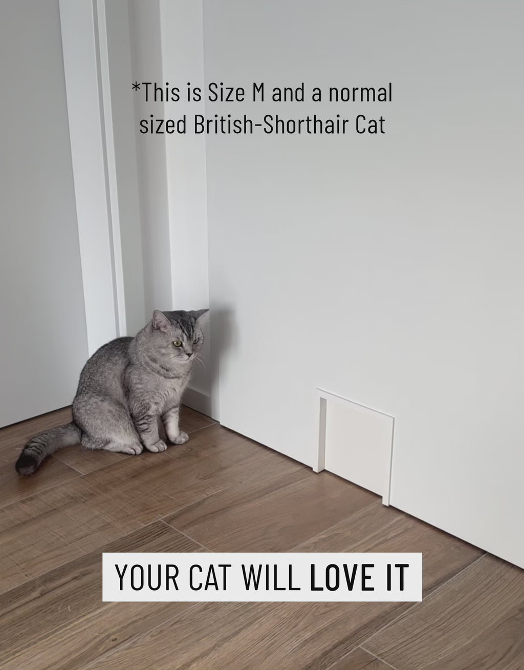 Katzenklappe für innen