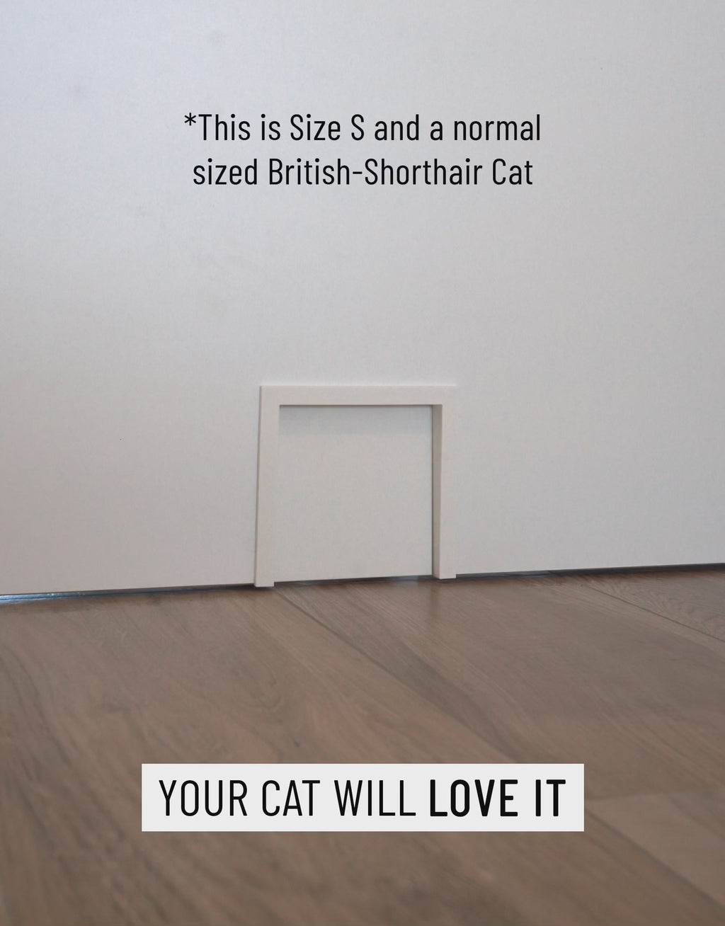 Katzenklappe für innen