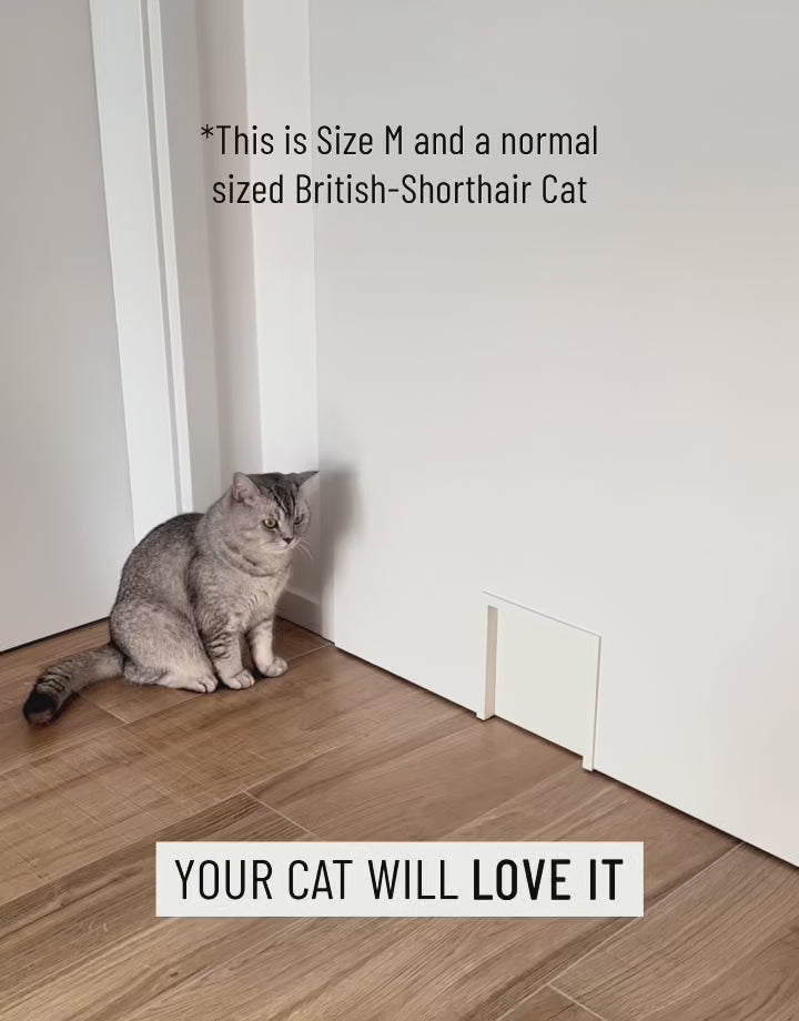 Katzenklappe für innen