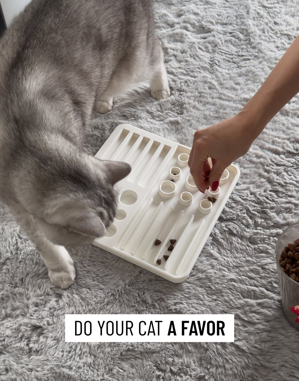 Snackbrett für Katzen