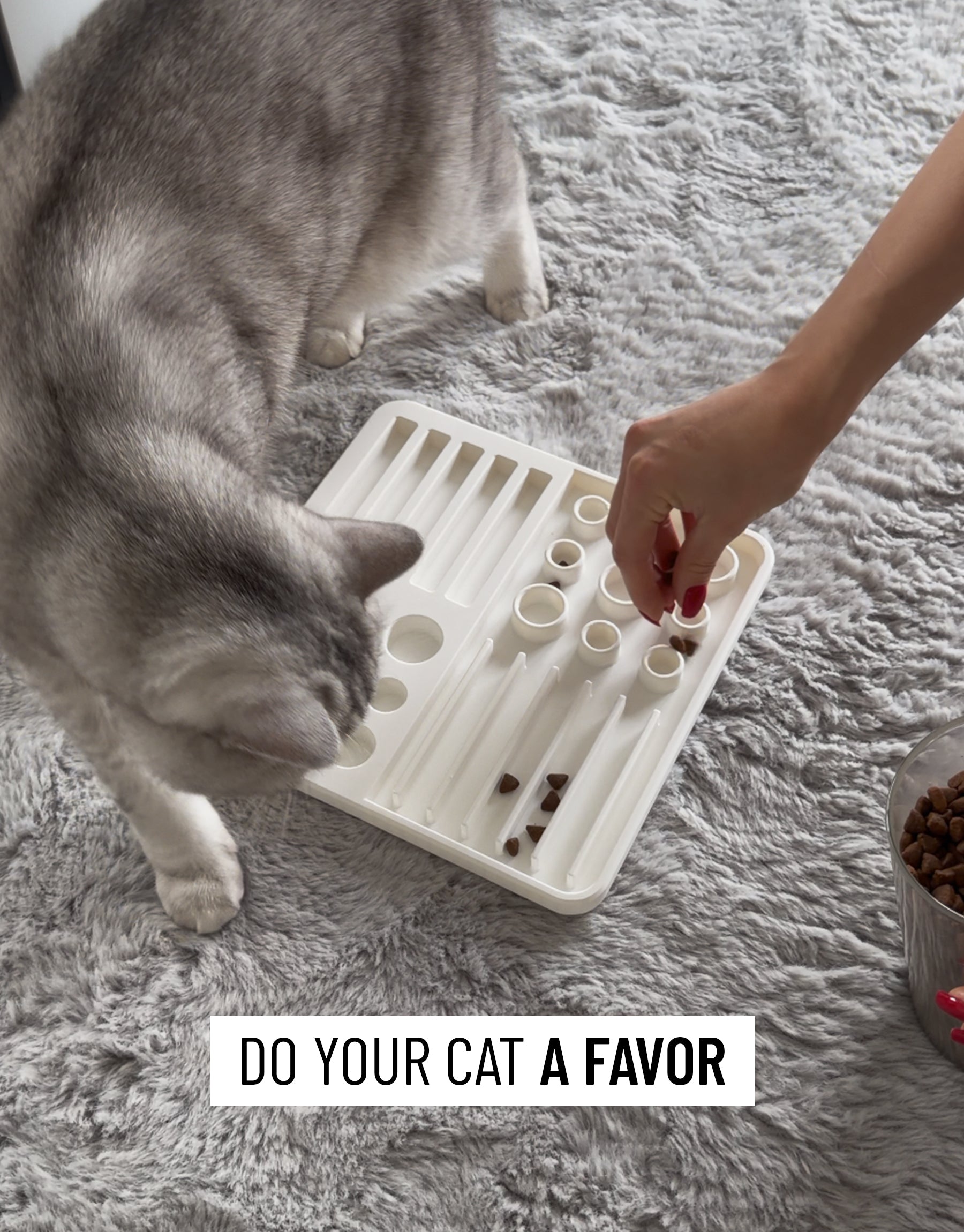 Cat snack board