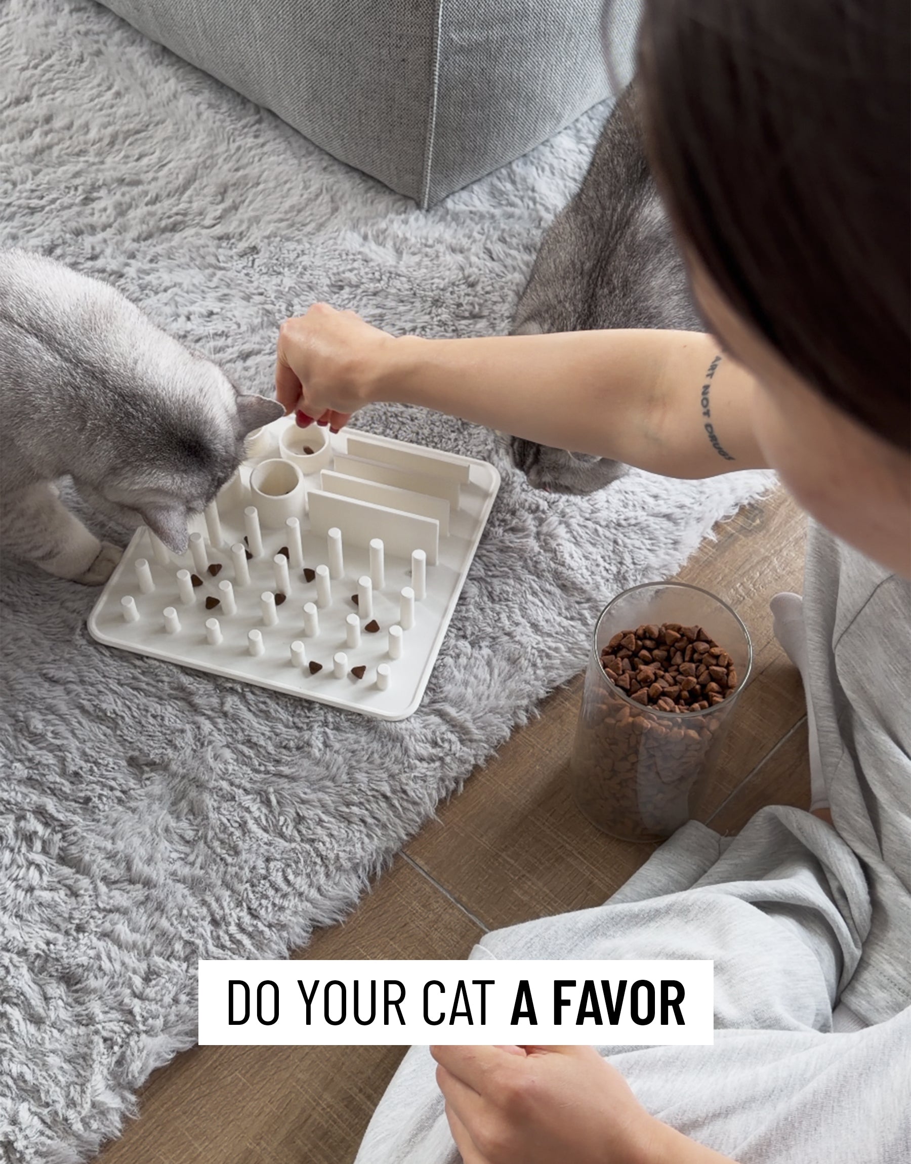 Snack Board for Cats